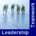 Building a Successful Leadership Team Button