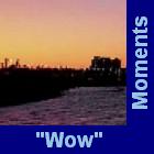 Wow Moments Button
