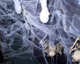 Over the Top Side Room View 2