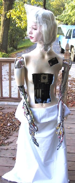 The Female Cyborg