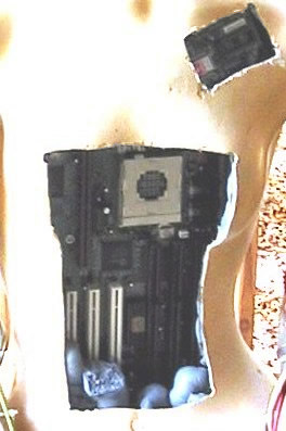 Female Cyborg Electronic Guts