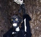 Pirate Prisoner Prop