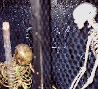 Skeleton Room