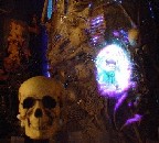 Skeleton Tree Atrium