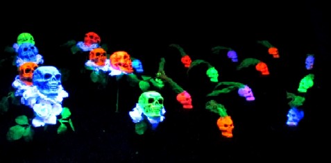 The Small Flowers and Sprouts in the Skeleton Garden