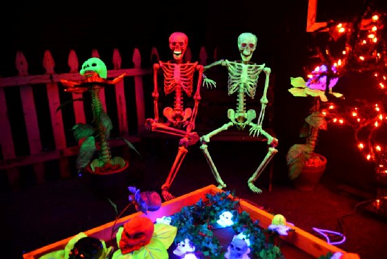 The Skeleton Garden Skeletons