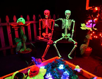 Skeletons on the Bench in the Skeleton Garden