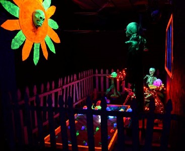 The Skull Presiding Over the Skeleton Garden