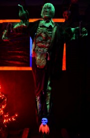 Skeleton Flower in the Room