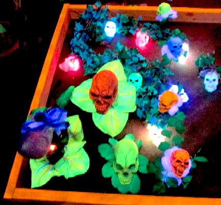 The Larger Plants in the Skeleton Garden