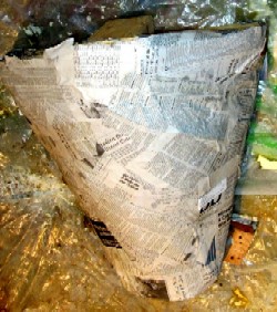 Skeleton Tree Branch Paper Mache