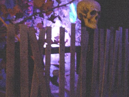 Skeleton Tree & Fence