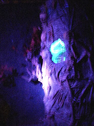 The Skeleton Tree in Black Light
