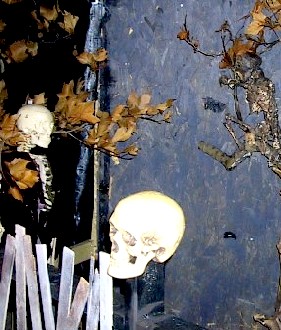 The Skeleton by the Tree