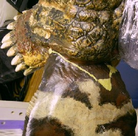 Brain Gremlin Ear Repair Back