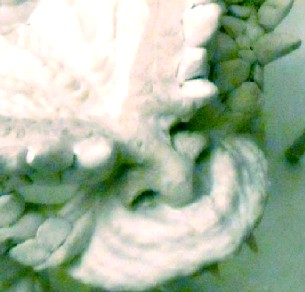 Gremlin Resculpt Nose