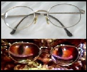 Glasses Comparison