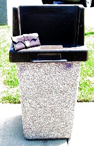 The wallet and the trashcan