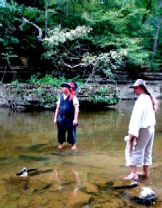 Michael follows Brandon in