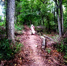 Pip and his grandma on the long path