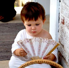 Pip staring at a fan