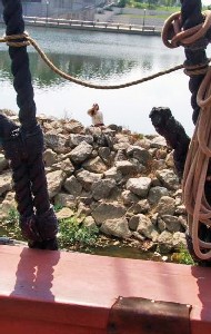A pirate firing from the rock outcropping