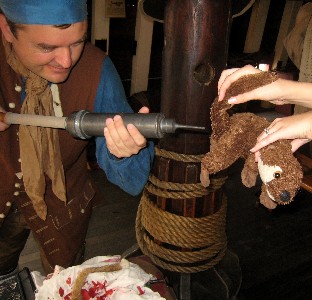 Mission helping ferret with digestive troubles