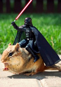 action figure on a squirrel