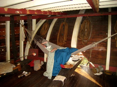 Blue Jess sleeping in a hammock