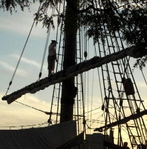 Pirate on a Santa Maria spar