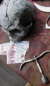 The skull as a prop 2 with businesscards