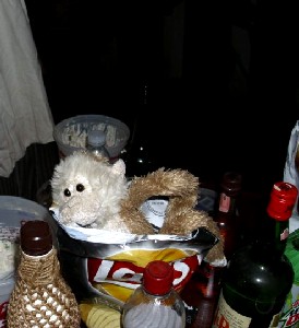 Lob amidst the bottles