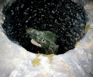 Tirzah's Dragon in the Well