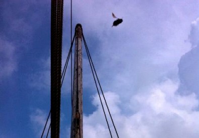 Unidentified Flying Object