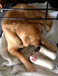 Sammie with Klaus' gifts