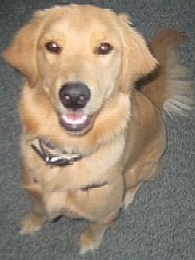 Sammie Waiting For Lob