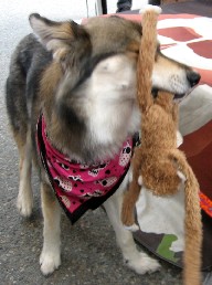 Lob Interviews Kita 3