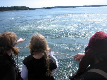 Old Sow Whirlpool Eddy