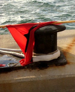 Happy flags soaked in rum