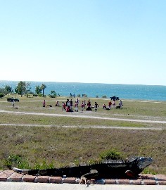 The iguana and the Brits