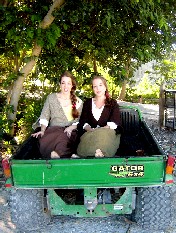 Twins in the back of the gator going