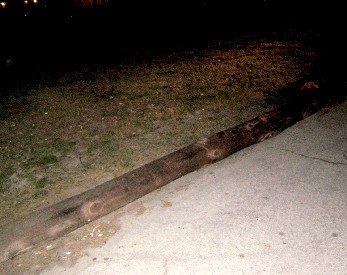 The telephone pole I hit