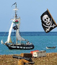 Owl and Pirate Flag