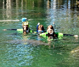 Zak and Jen Swim with the Manatees
