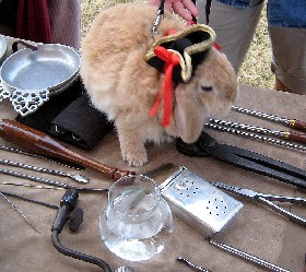 Spike the Pirate Bunny on the Table