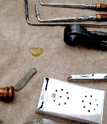 Spike Leaves Pee Behind