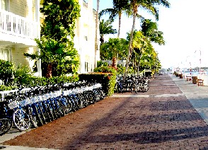 The Nearby Bike Racks