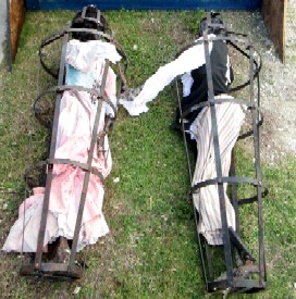 Becky and Bucky on the Ground