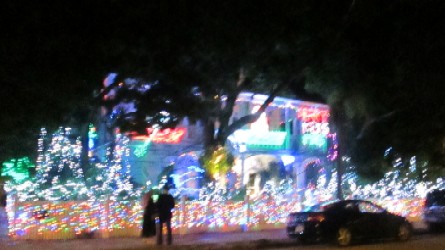 The Wild Lit Christmas House