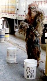 A Yuccky in Key West